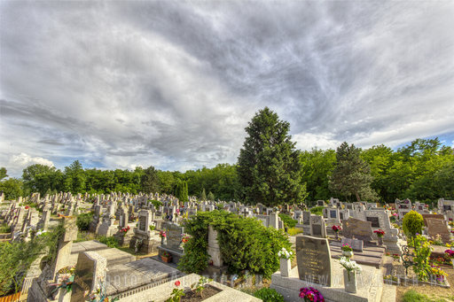 A hét képe, 2013. 13. hét: Lakitelek - temető