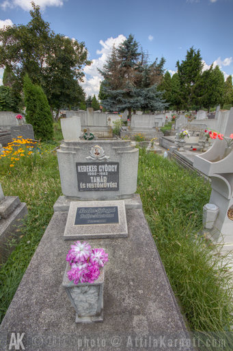 2013. 11. hét: Békéscsaba - Ligeti temető - Kerekes György sírja - 800x1200 pixel - 1279836 byte