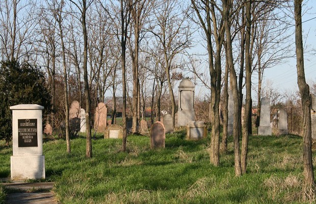 Zsidó temető Békésszentandráson