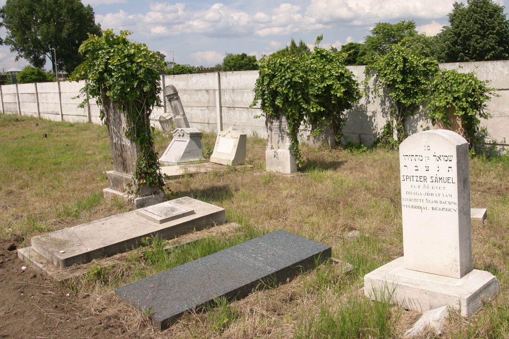 Rákospalotai zsidó temető