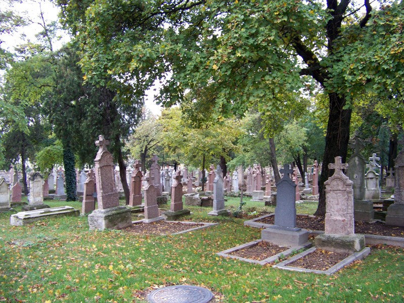 A temető területén csaknem 1400 sírkő található, melyek a Buda-környéki kőfaragás egyéni ízű alkotásai, s nagy részük a 19. század második feléből és a 20. századból való. - Ó-temető – Országos Német Emlékhely